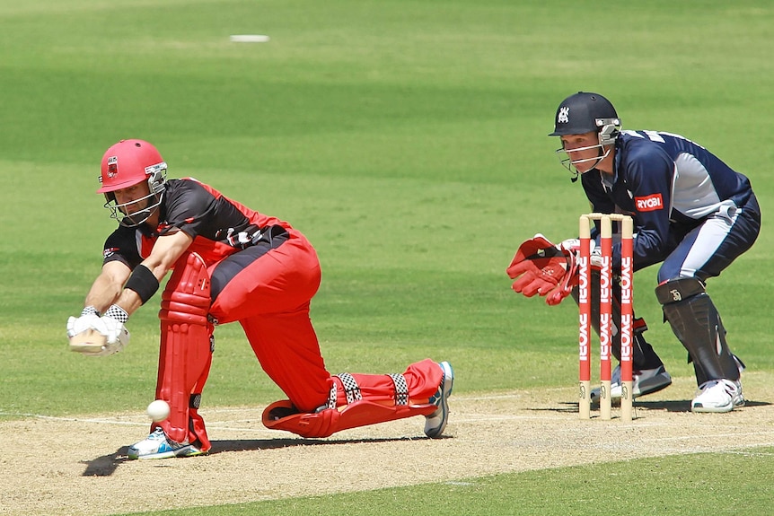 Ferguson sweeps at Adelaide Oval