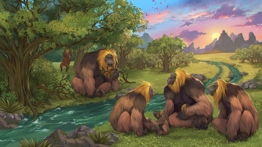 An illustration of five large orangutan-looking apes sitting by a river. Another is hanging from a tree in the background