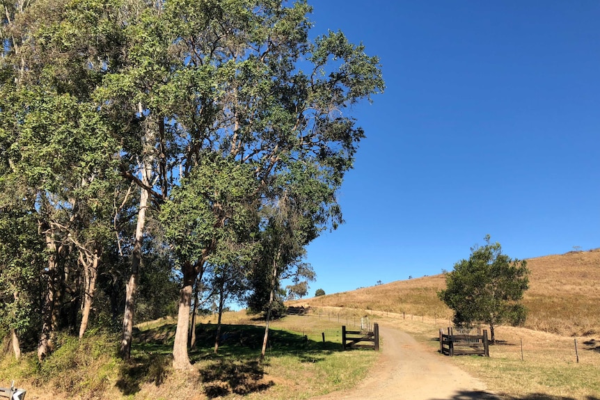 Road near Delaney's Creek