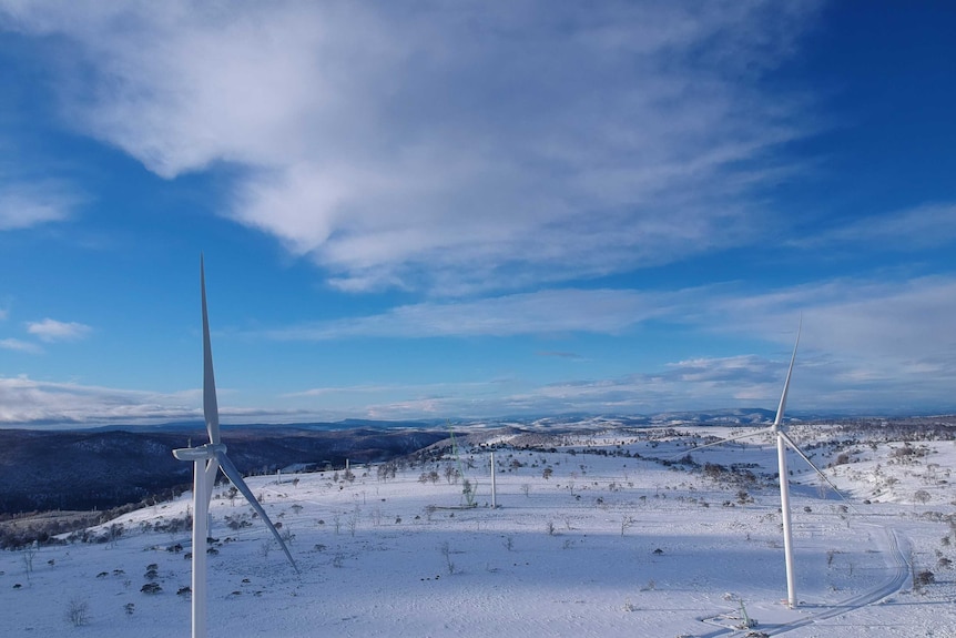 Wind turbines in snow.