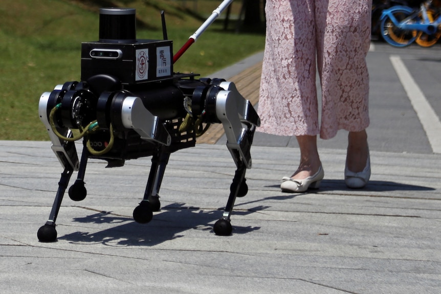 A short six legged black and silver robot walks in front of a human's legs on the footpath