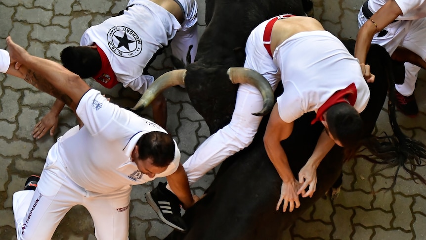 Three men in white are gored by a black bull in Pamplona.