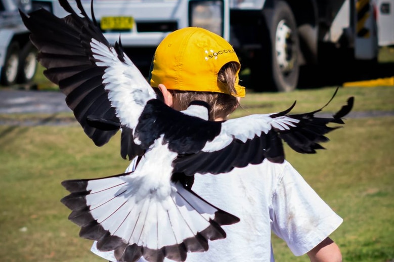 It's game on as 'Maggie' the magpie swoops on 9 year old Tylah as he rides his scooter