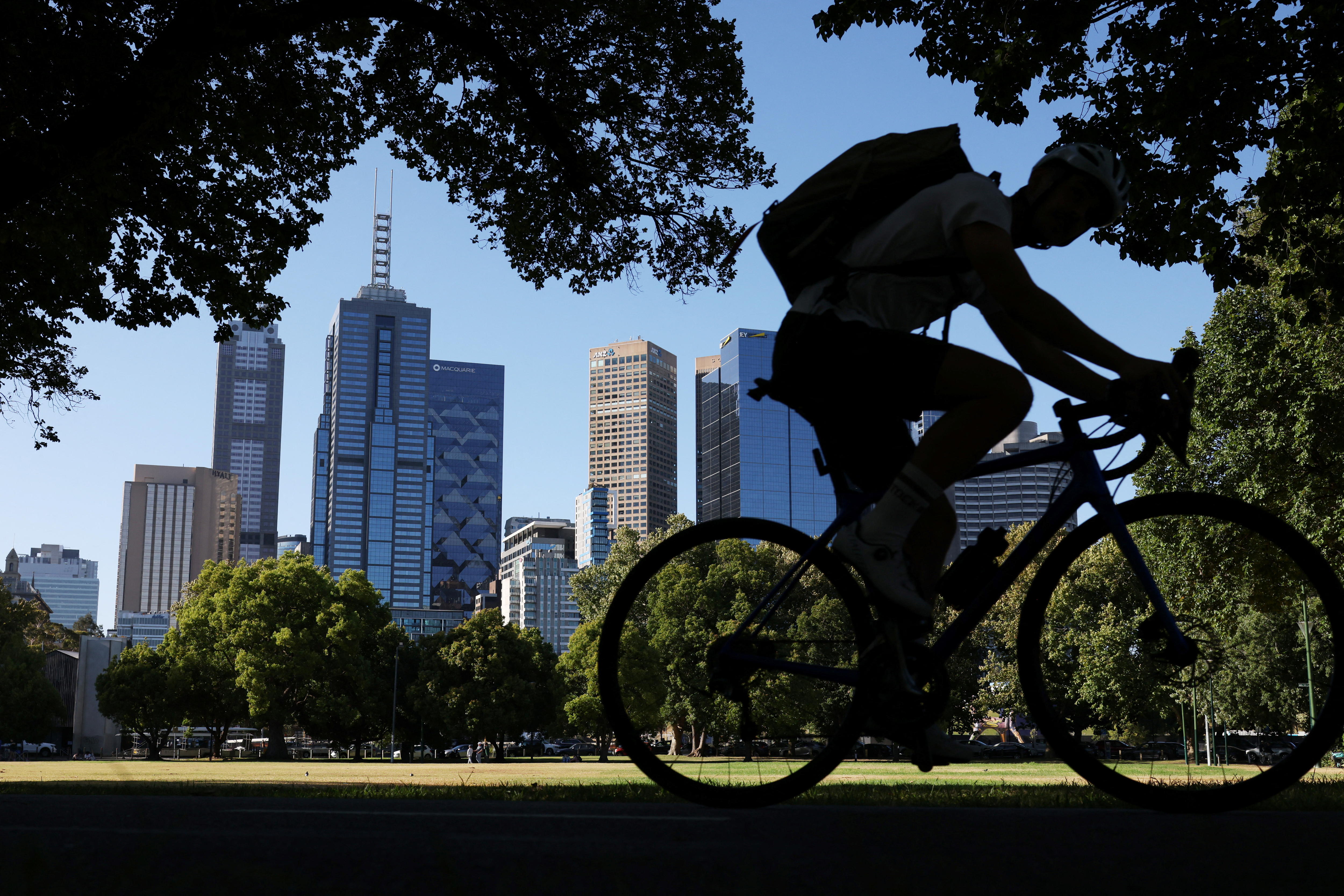 Wet winter increases risk of active hayfever season in Victoria