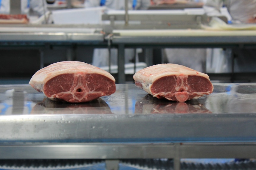 Two cuts of lamb on a work bench in an abattoir, one is much thicker than the other. 