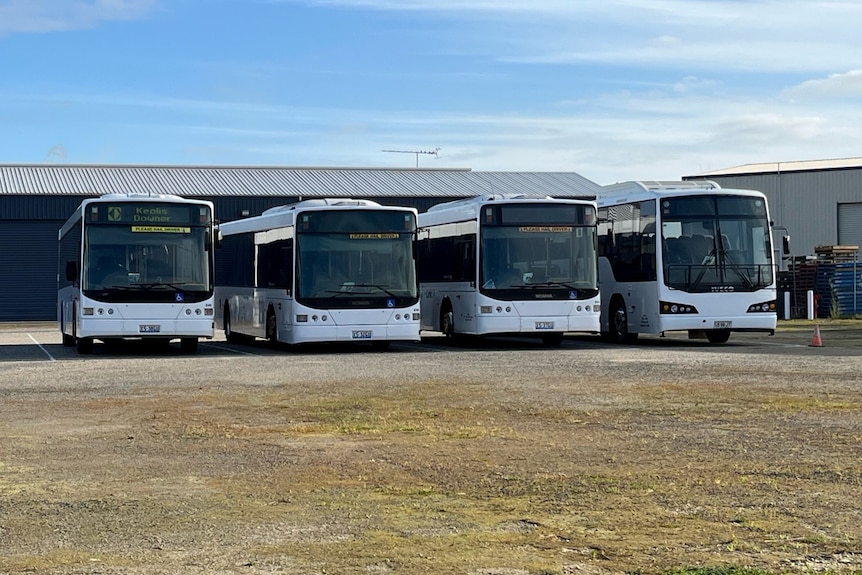 Four white buses on dirt and gravel