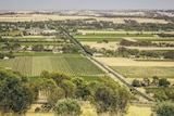 An aerial view of vineyards and roads of the Barossa Valley.