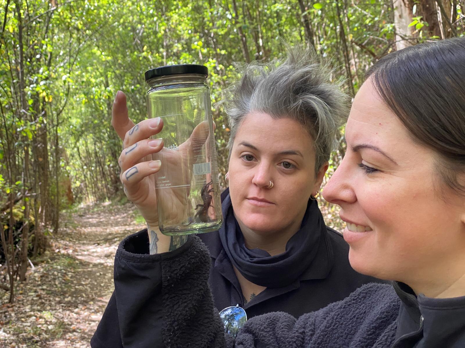 Two people look at a spider inside of a jar.