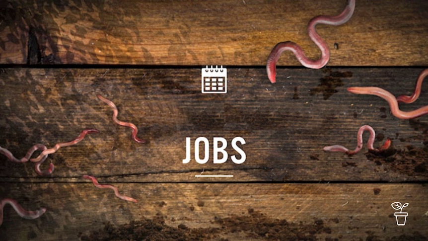 Wooden boards with worms crawling over them with text 'Jobs' and a calendar icon