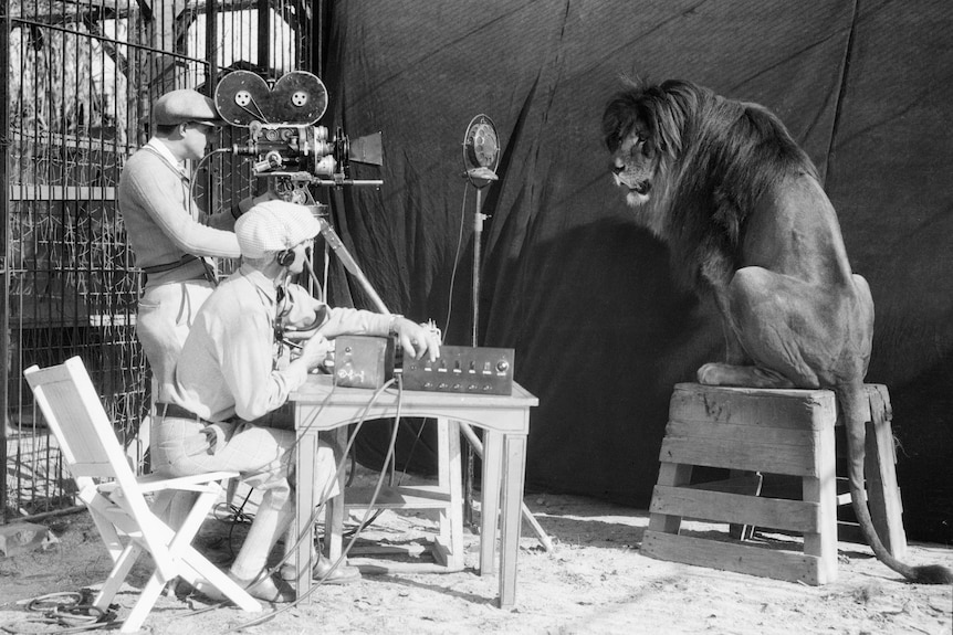 Two people filming a lion in a black and white image. 