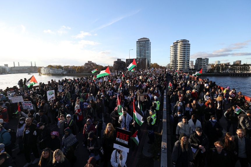 大约30万人参加了伦敦的声援巴勒斯坦游行。
