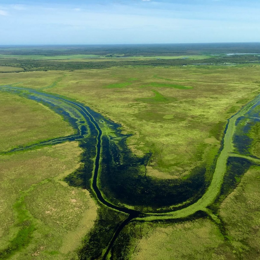 an aerial photo of floodplains and green grass. 
