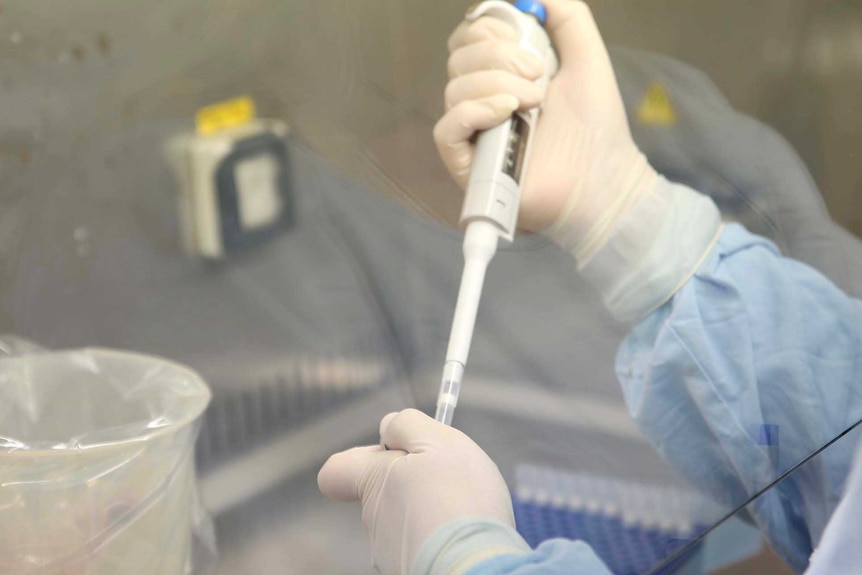 A lab worker with white rubber gloves on handles a large vial while conducting a medical test.