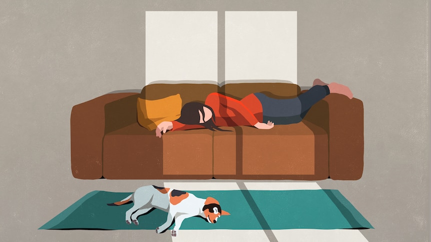 an illustration of a person asleep on the couch with a dog asleep on the floor below them. 