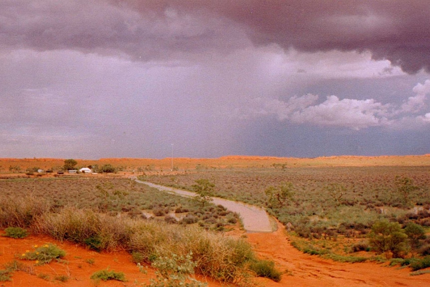 Scenic view over desert with grey sky
