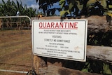 A quarantine sign on a farm in far north Queensland.