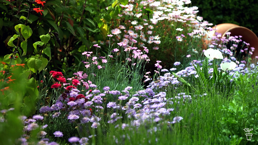 Technicolour Treat Technicolour Treat