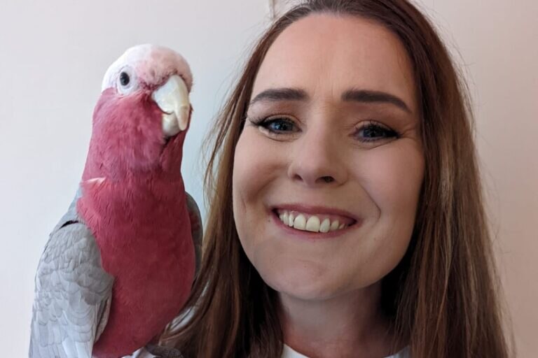 Wildlife Ecologist Doctor Dr Gráinne Cleary pictured with a pink and grey galah.