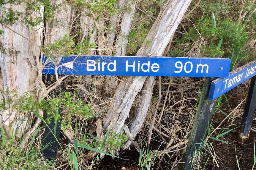 Picture of a sign that says 'Bird Hide'