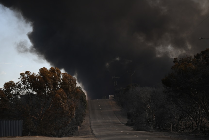 Black smoke rises from a bushfire above Port Lincoln.