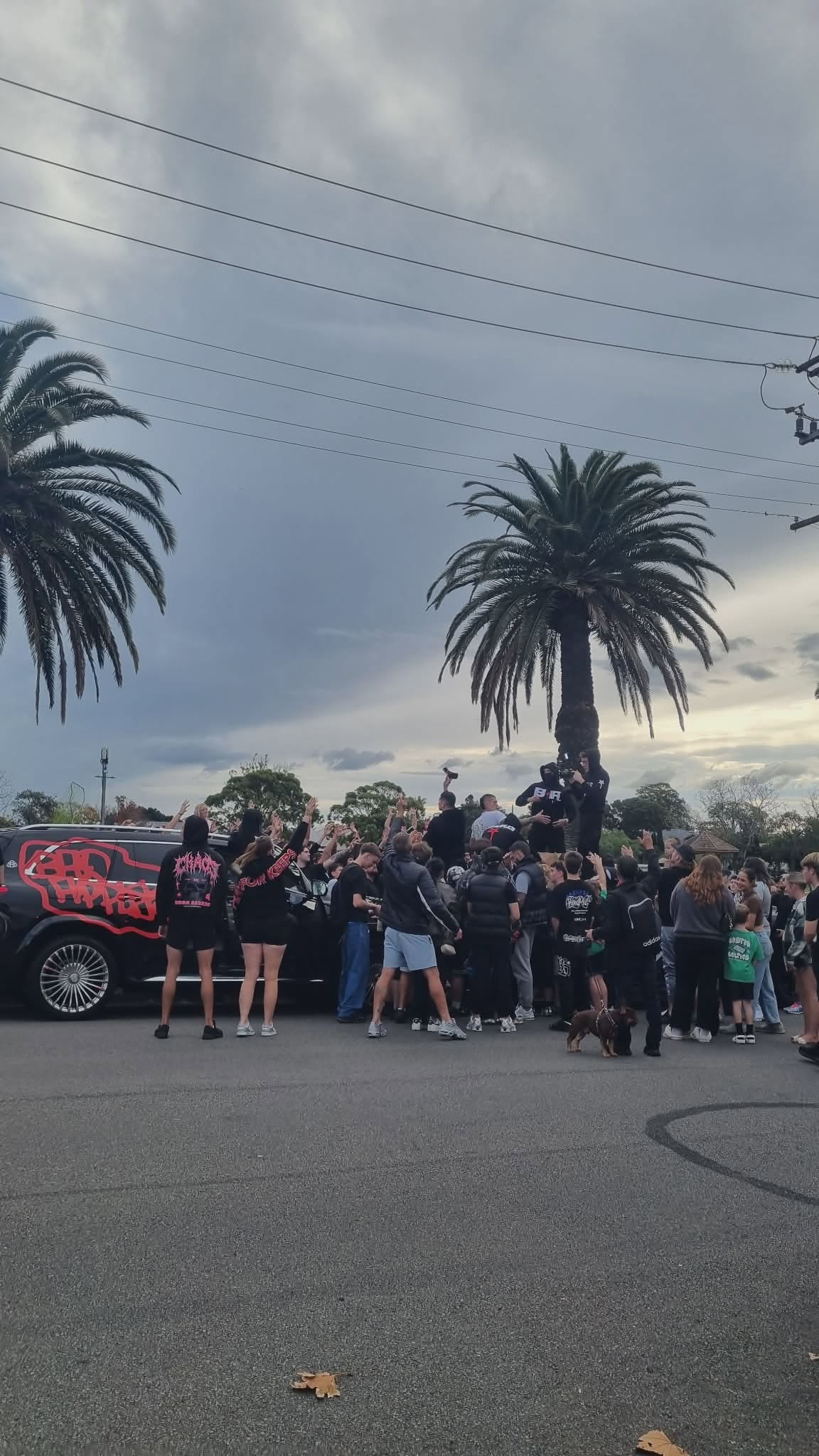 A group of young boys gathering in a park, palm trees, some clouds in sky, black 4wd with bad apples in red written on it.