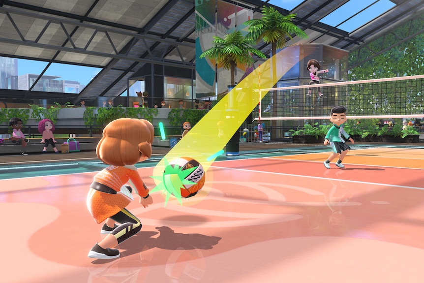 A screenshot of two Miis playing volleyball in the game Nintendo Switch Sports.