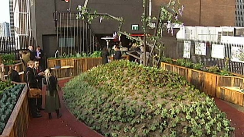 The garden includes a lightweight polystyrene hill covered in soil.