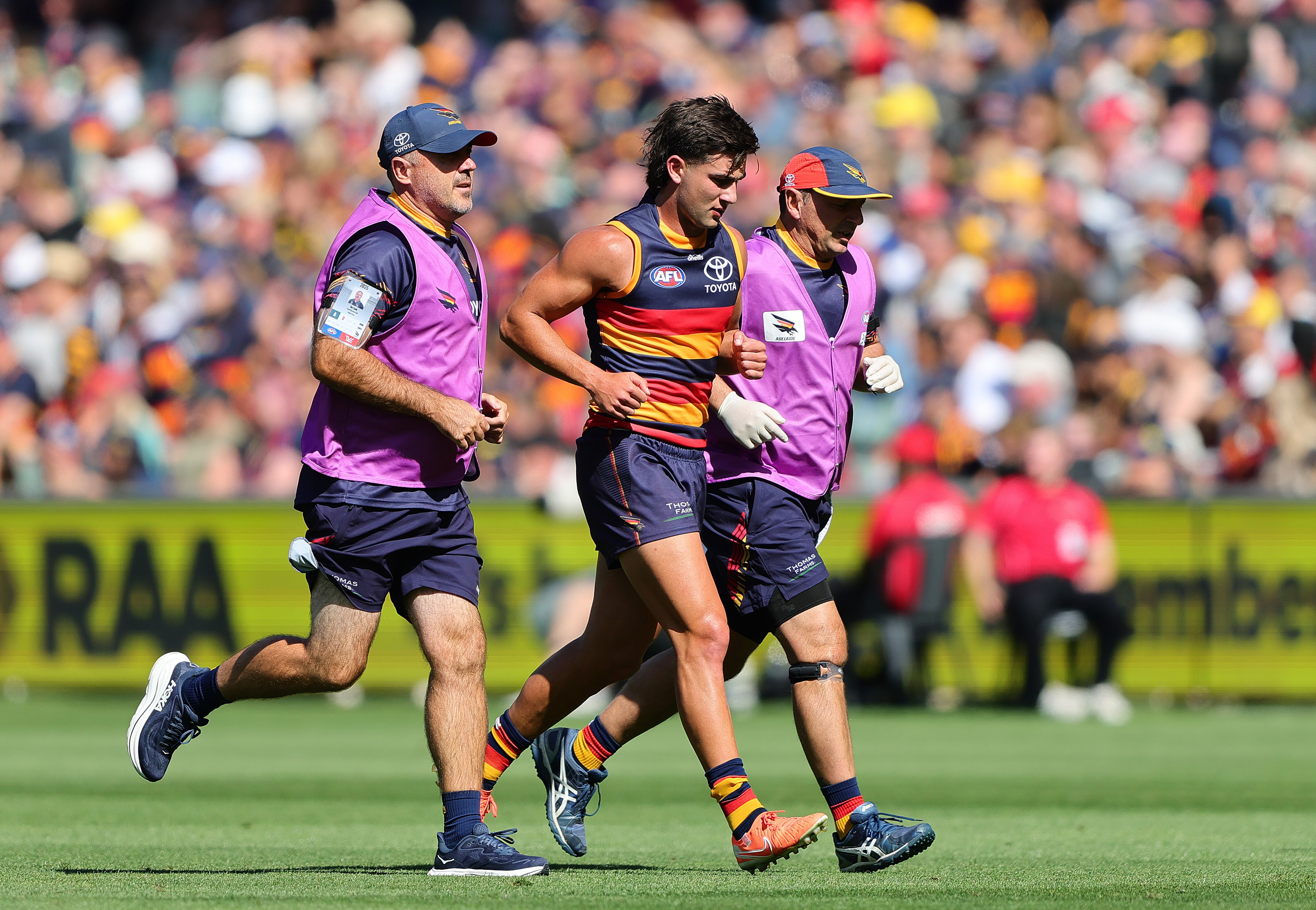 Can the Crows replace Rachele and Carlton's 'deplorable' second halves