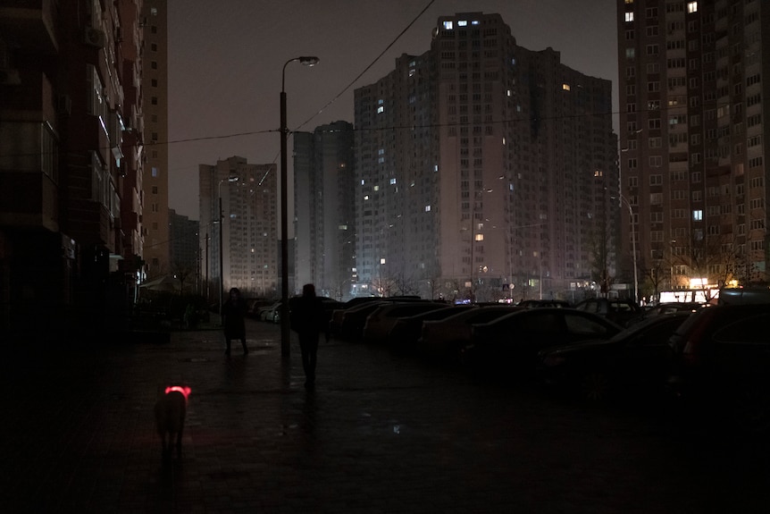 highrises at  night, bright red light up dog collar and silhouette of a dog