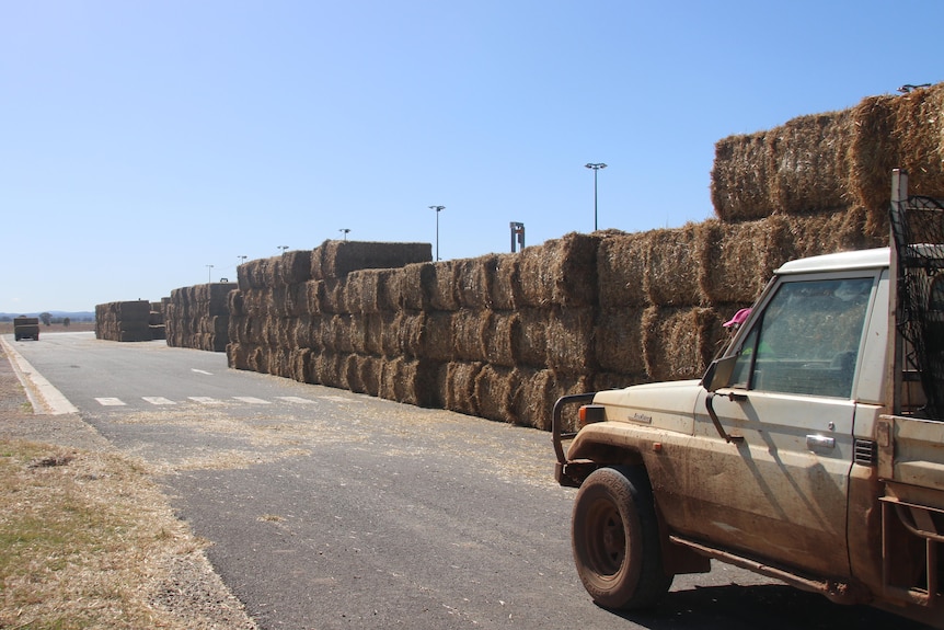 700 bales of hay next to a car 