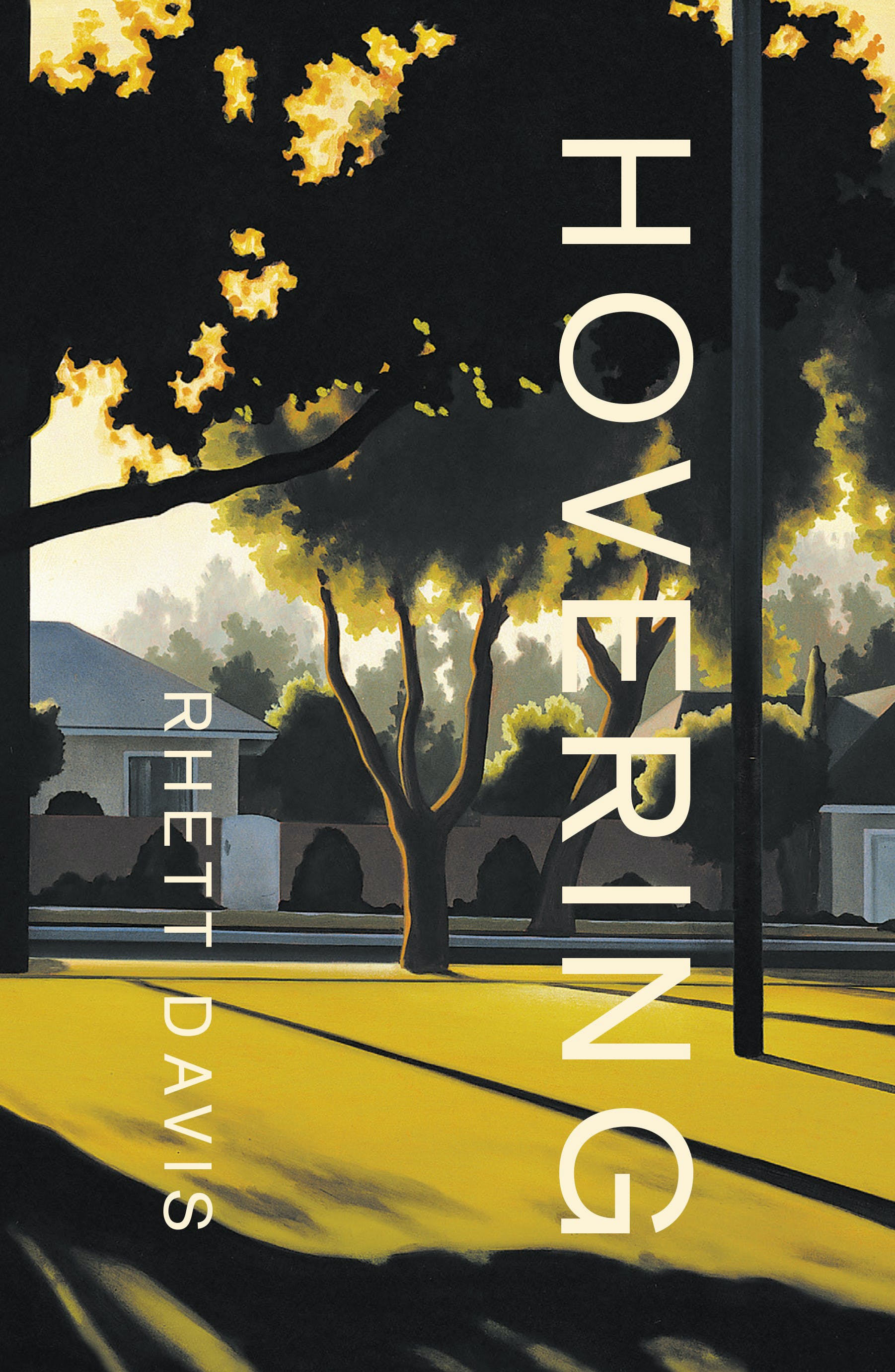The book cover of Hovering by Rhett Davis features a drawing of a suburban street, including houses and a park
