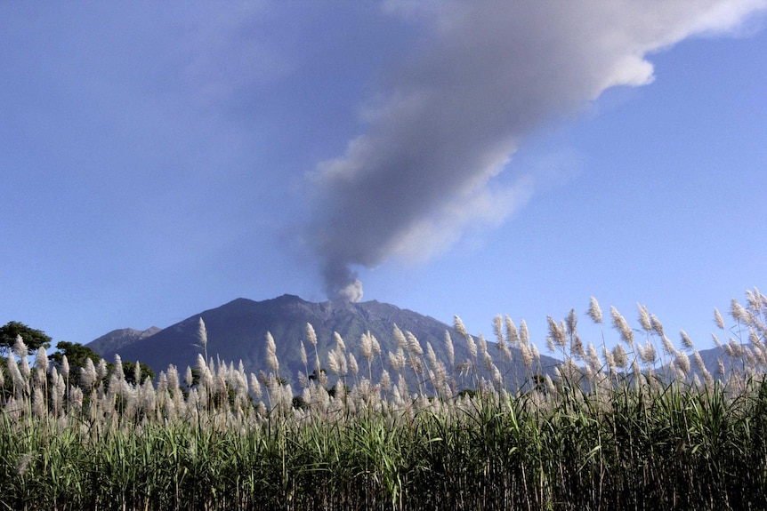 This isn't the first natural disaster to hit a Laurie holiday (smoke rises from Mount Raung in East Java).