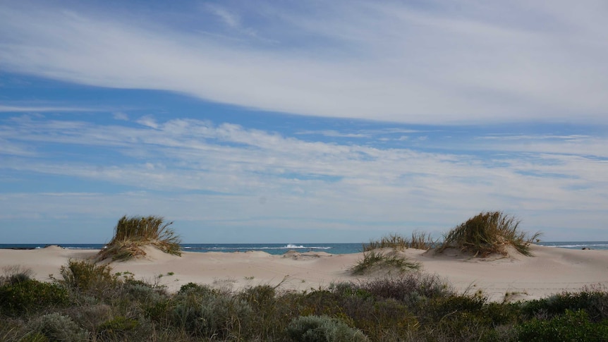 View out to sea over sand dunes where Pakington Whaling Station was once located