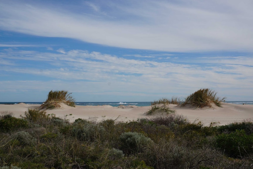 View out to sea over sand dunes where Pakington Whaling Station was once located