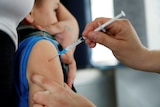 Child receives vaccine via needle