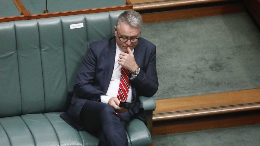 Joel Fitzgibbon looks at his phone while sitting alone on the Labor frontbench