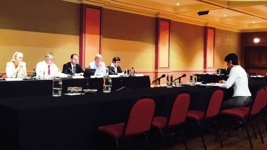 Senate inquiry public hearing in Newcastle