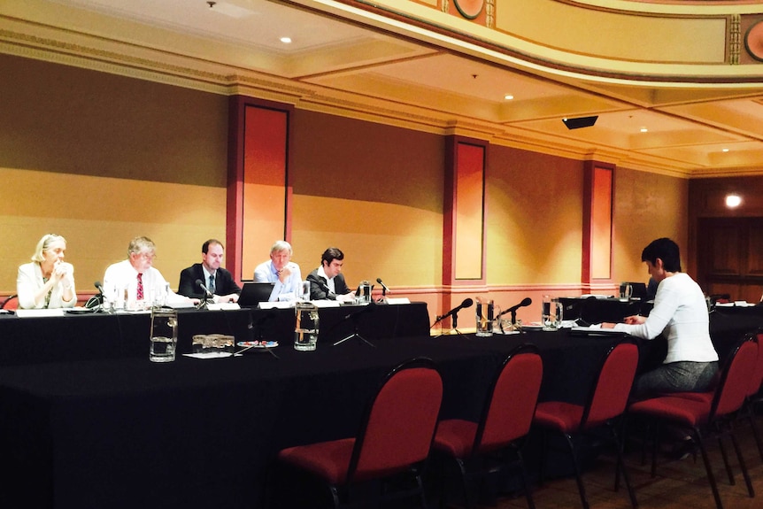 Senate inquiry public hearing in Newcastle