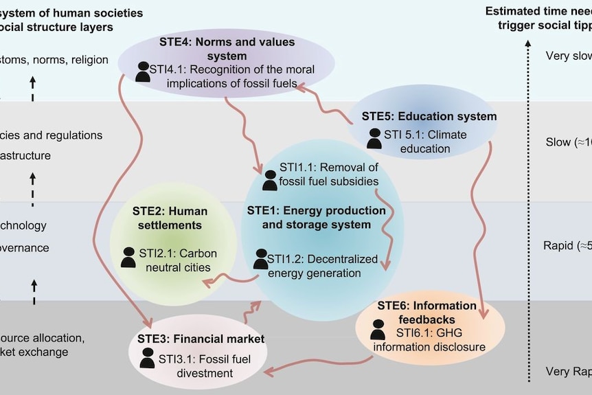 STIs