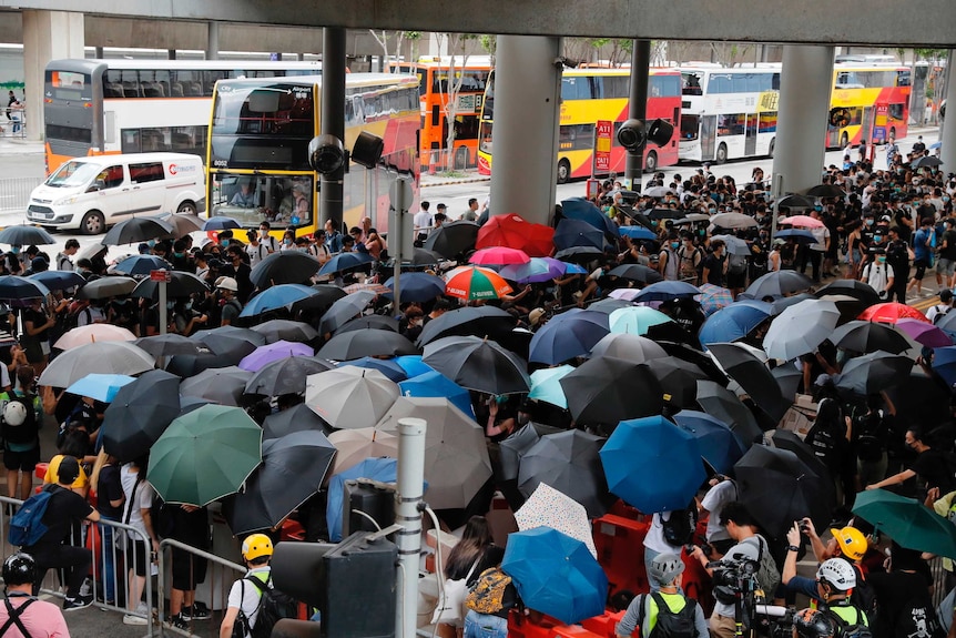 A sea of protesters with umbrellas gather at the airport as buses go past.