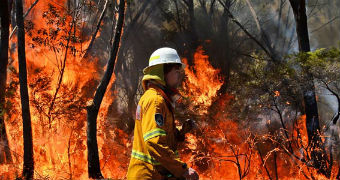 A firefighter fights a bush fire