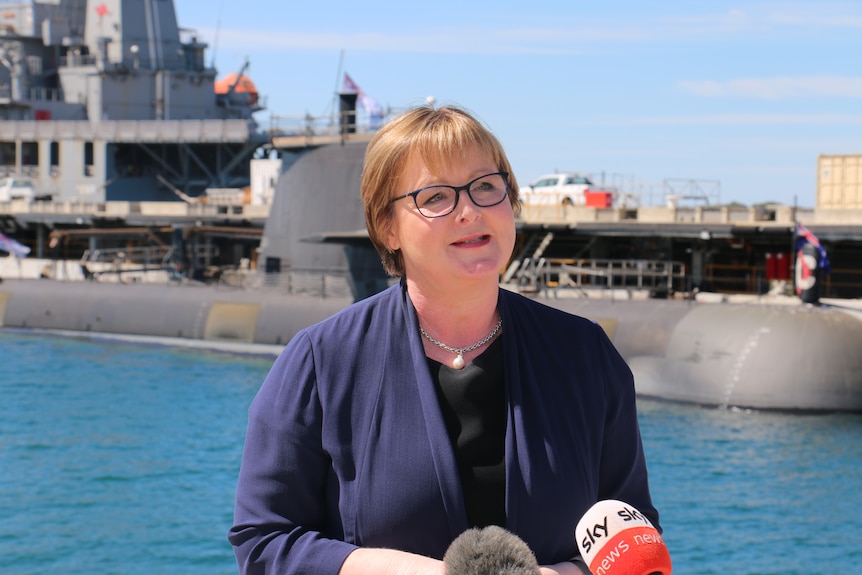A woman talks with microphones in front of her and submarines behind her.