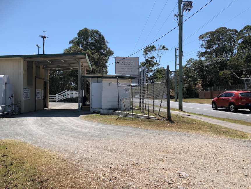 Cattle tick spray yards.