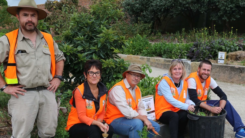 Volunteers in the Veterans and Families garden