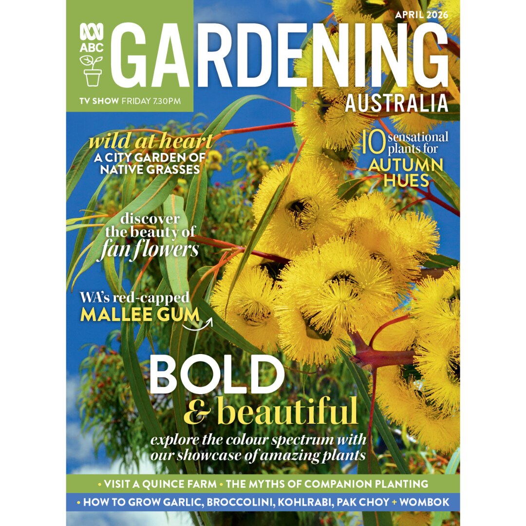 Gardening Australia Magazine