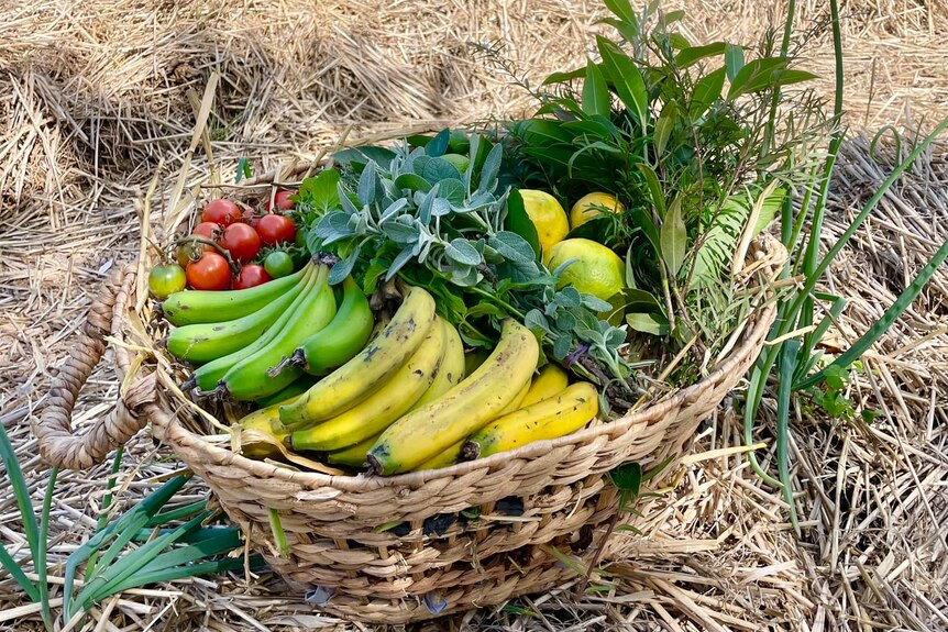 A basket of fruit and vegetables sitting on hay, outside.