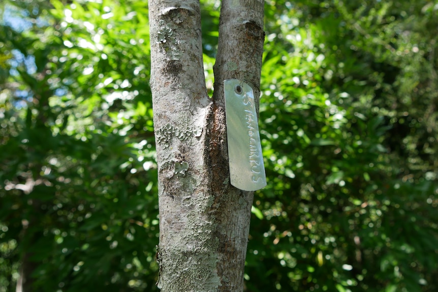 A close up of a metal tag tied to a tree branch