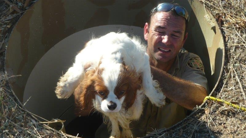 A man lifts a dog out of an underground bunker.