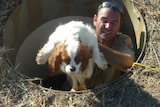 A man lifts a dog out of an underground bunker.