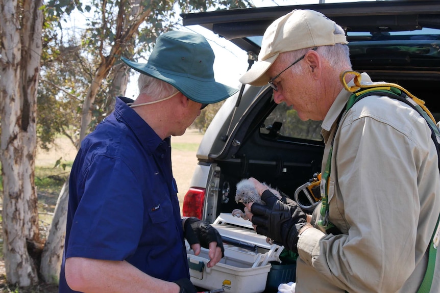 Two men hold a small baby cockatoo while standing at the back of a vehicle with monitoring equipment inside.